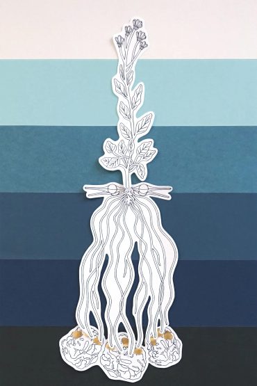 Nodule Harvesting Plant